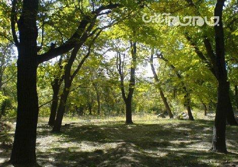 قنوات ظرفیت های جذابی برای گردشگری طبیعت محور دارد قنوات ظرفیت های جذابی برای گردشگری طبیعت محور دارد