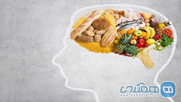 چرا تغذیه سالم برای عملکرد مغز بسیار مهم است؟
