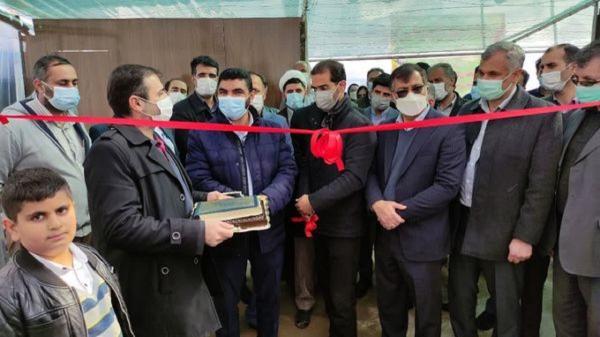 افتتاح گلخانه سبزی و صیفی در فرخشهر