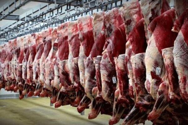 یک پرسش مهم درباره گرانی گوشت قرمز